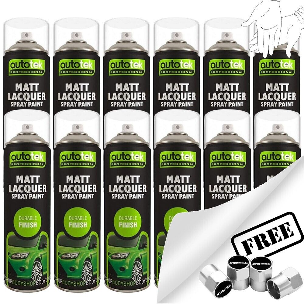 Autotek Matt Lacquer Spray Paint 12 Cans