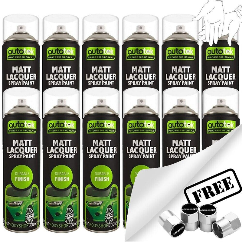 Autotek Matt Lacquer Spray Paint 12 Cans