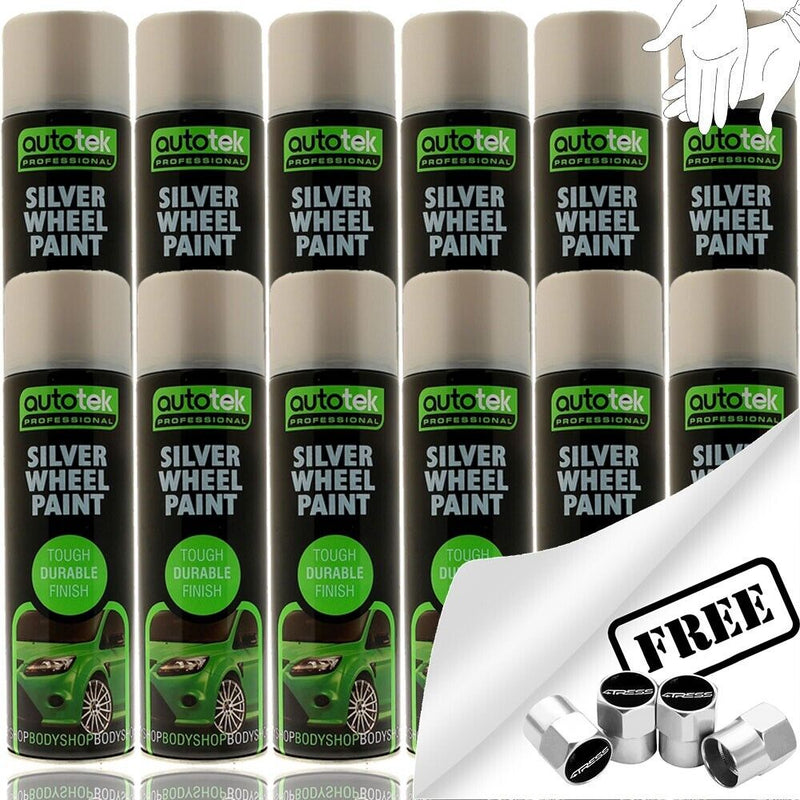 Autotek Silver Wheel Paint 12 cans