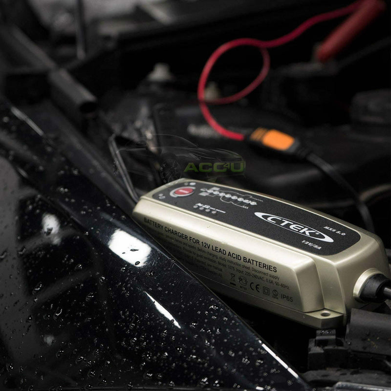 CTEK MXS 5.0 12v Car Battery Charger+M8 Comfort Indicator+Power Bank+Bumper Pack